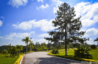 Cemitério Parque dos Girassóis Parelheiros