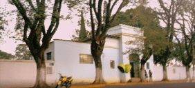 Cemitério São Salvador – Mogi das Cruzes 