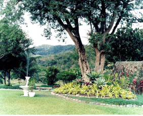 Cemitério Jardim da Saudade 