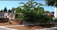 Cemitério Parque das Colinas Verdes