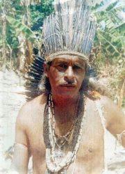 Homenagem do dia: Francisco de Assis Araújo