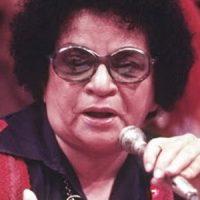 Homenagem do dia: Aracy de Almeida