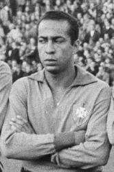 Homenagem do dia: José Ferreira Franco