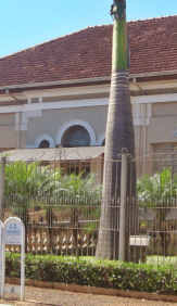 Cemitério Municipal de São José da Bela Vista 