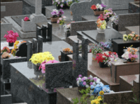 Cemitério Parque da Saudade Brusque – SC