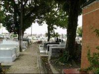 Cemitério Municipal Santa Izabel – RJ –