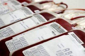 O que fazer para o Dia Nacional do Doador Voluntário de Sangue: Parceria com banco de sangue