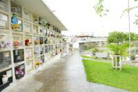 Cemitério Campo Santo- Itabuna – BA –