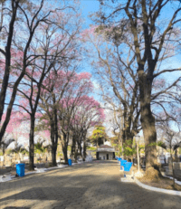 Cemitério Municipal de Itu – Itu/SP