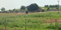 Cemitério Municipal de Aragominas – TO